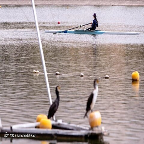 تصاویر: مسابقات قایقرانی روئینگ بانوان در دریاچه آزادی