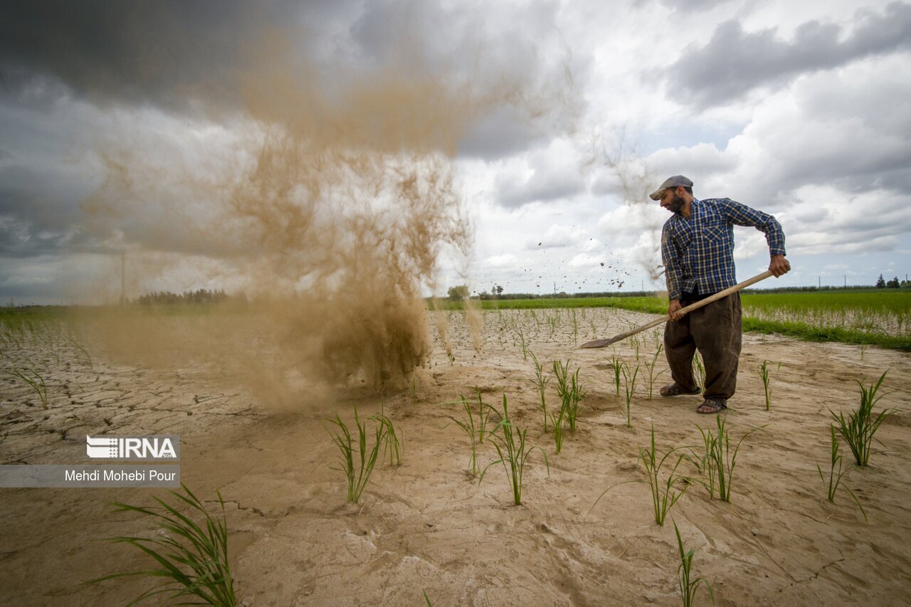 تصاویر: آخر این قصه بیابان است...