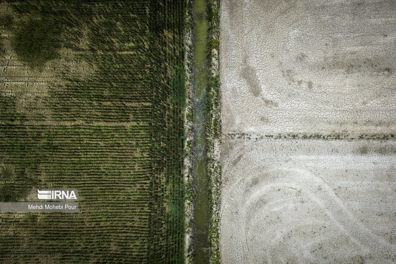 تصاویر: آخر این قصه بیابان است...