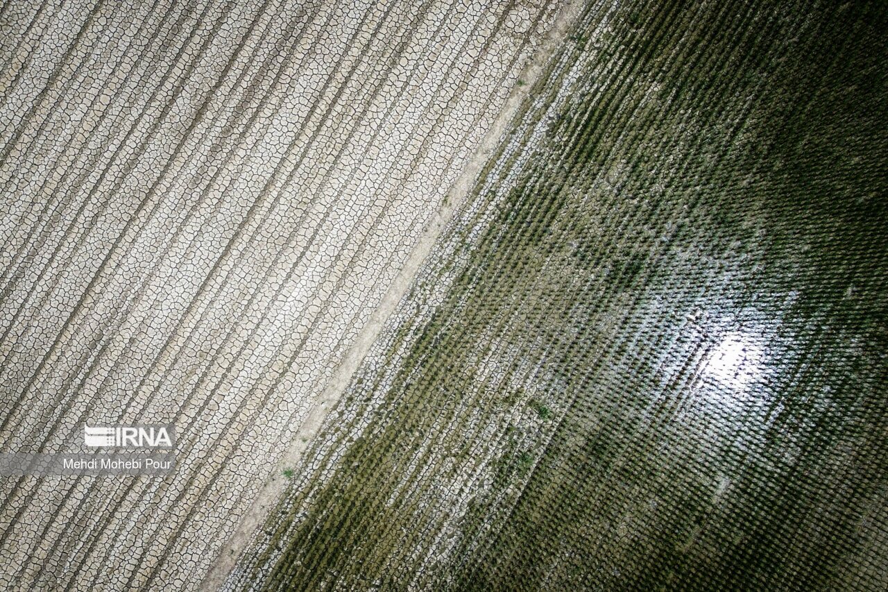 تصاویر: آخر این قصه بیابان است...