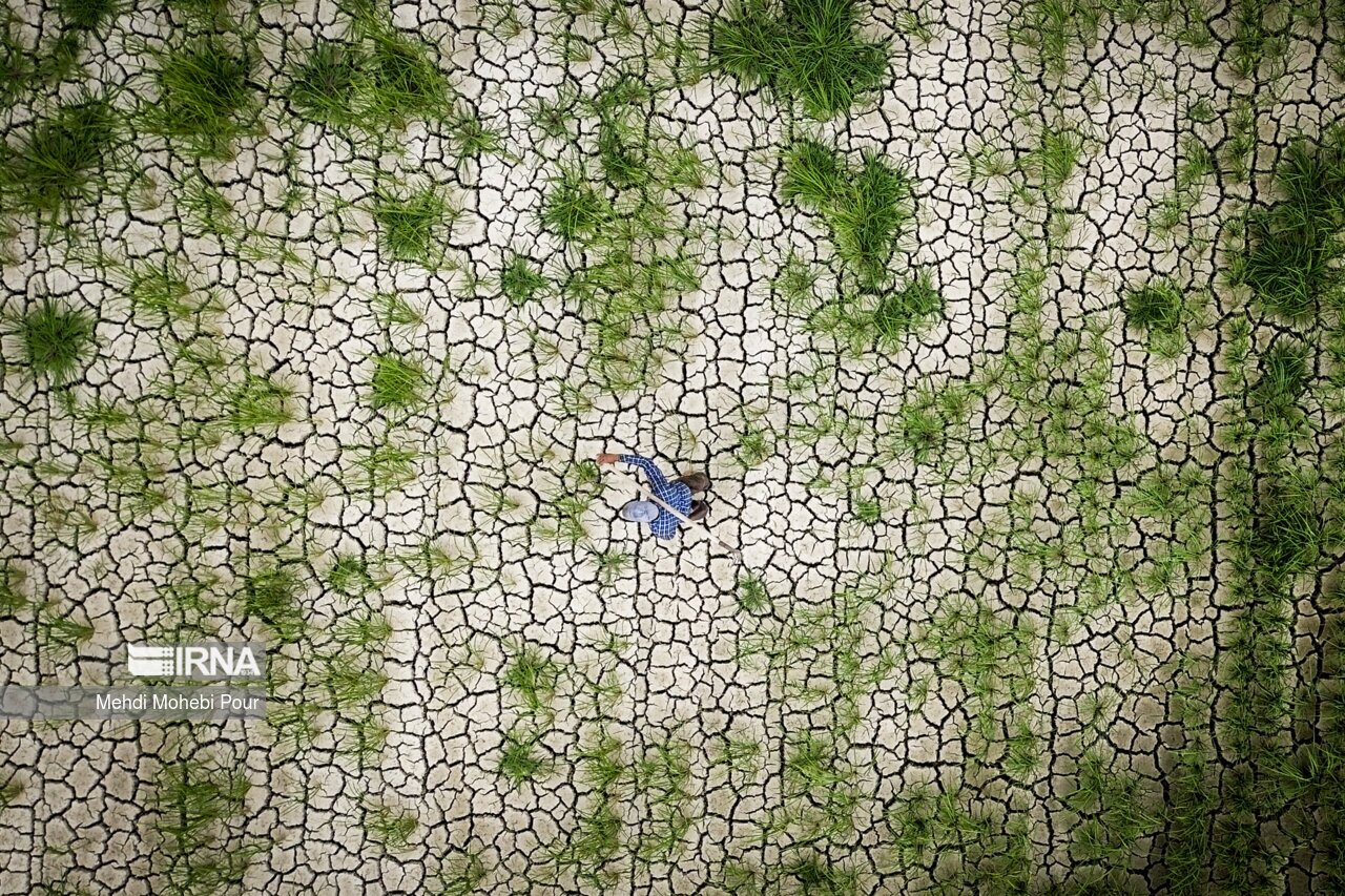 تصاویر: آخر این قصه بیابان است...