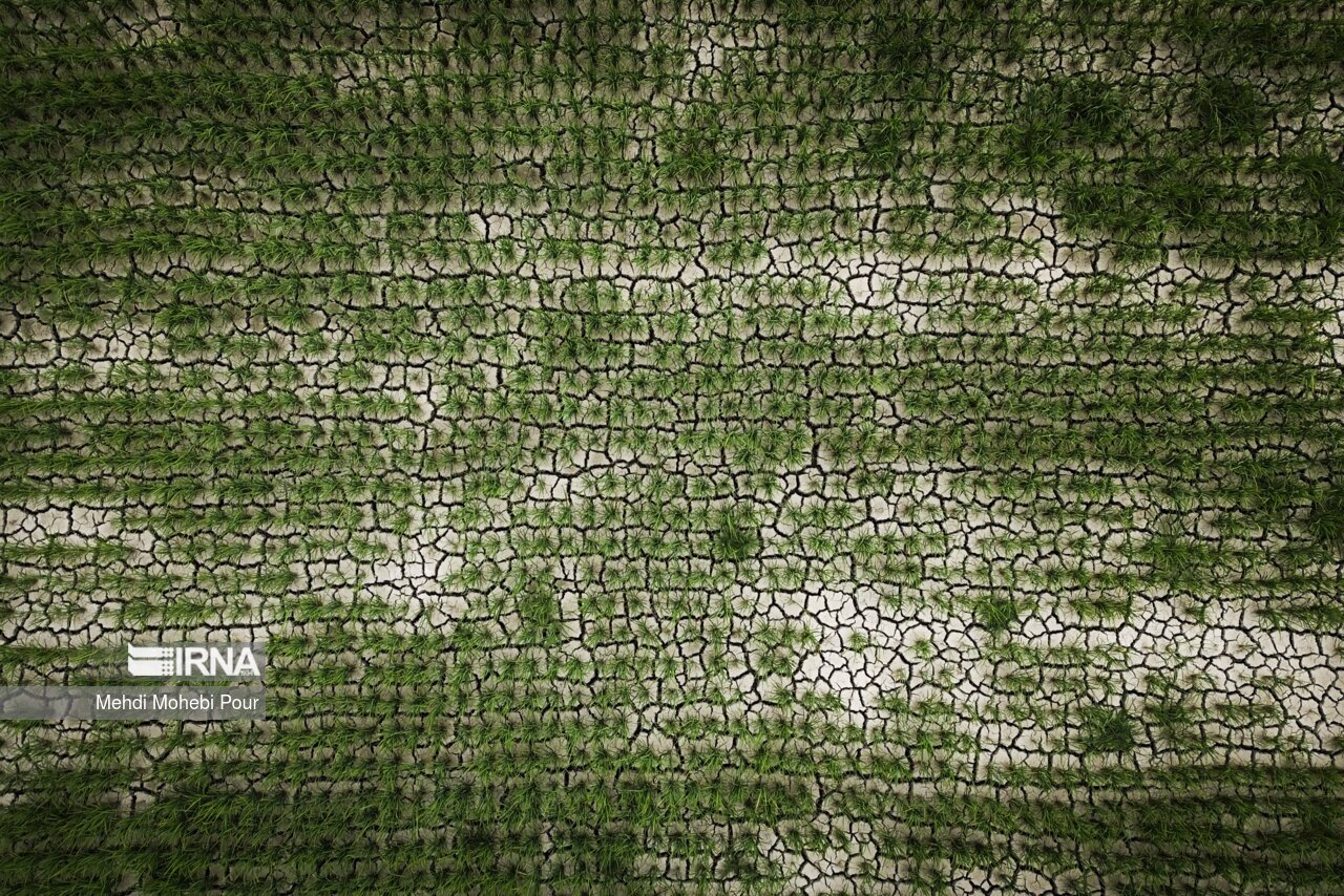 تصاویر: آخر این قصه بیابان است...