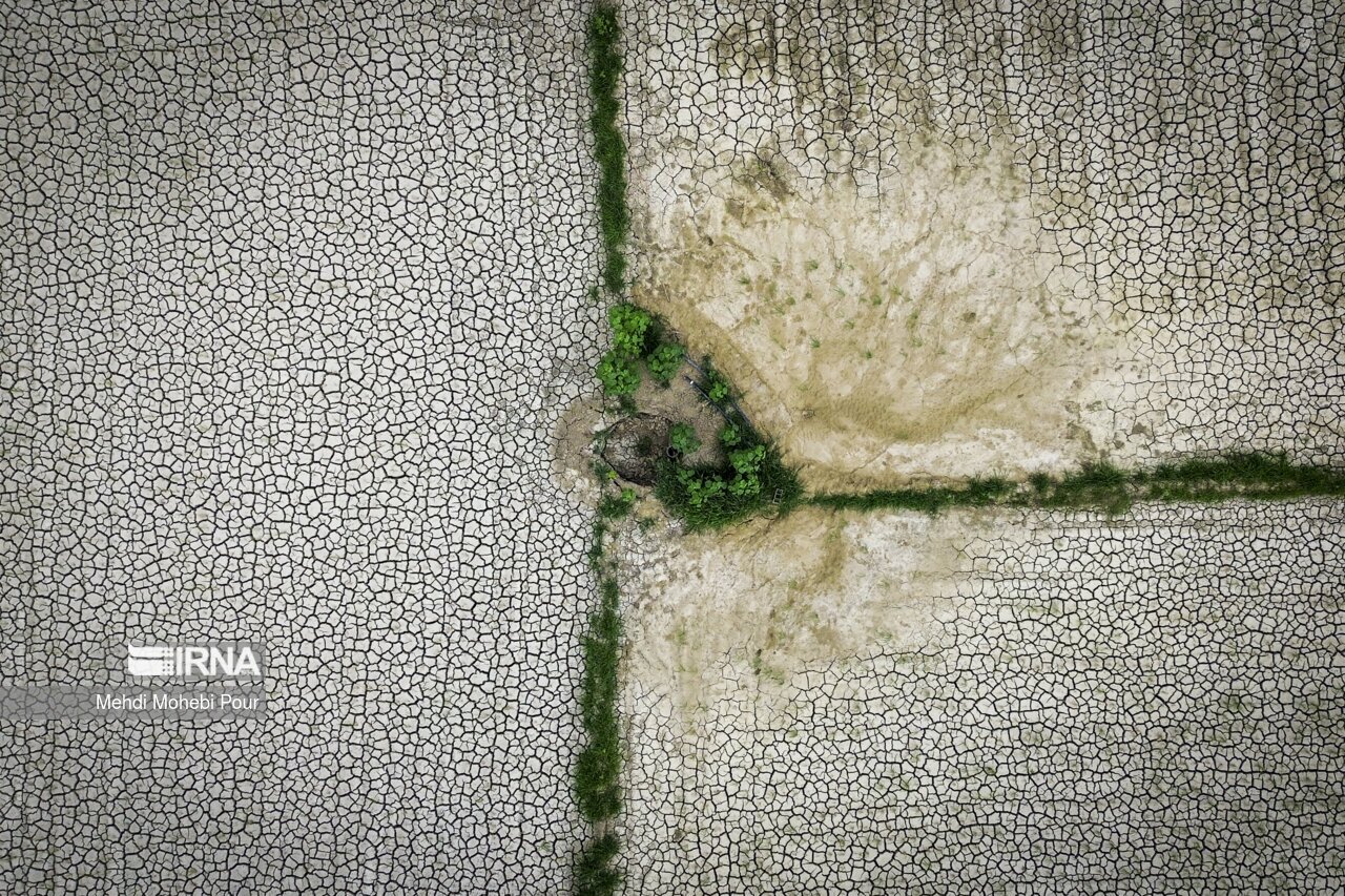 تصاویر: آخر این قصه بیابان است...