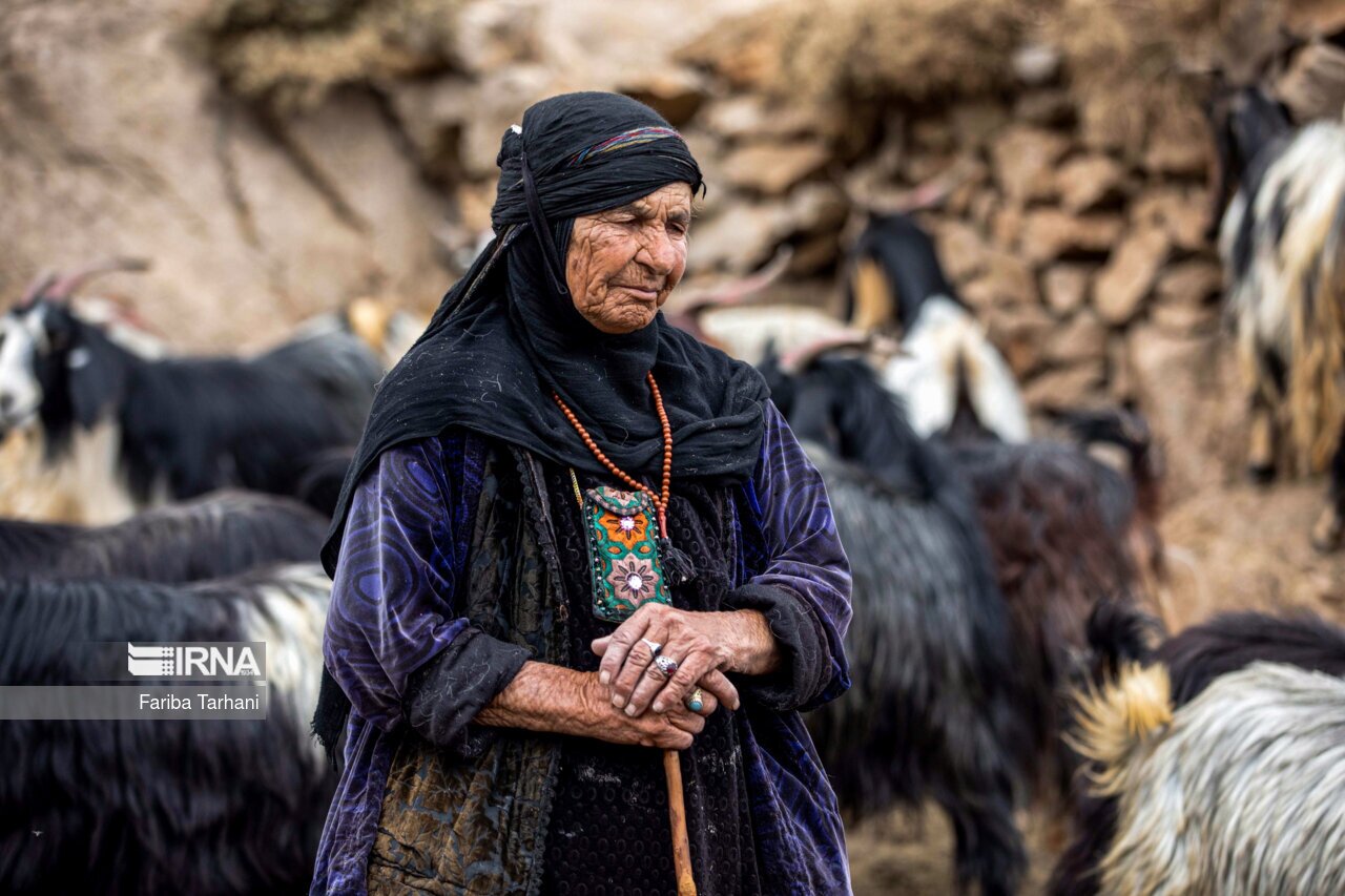 تصاویر: عشایر بختیاری در ییلاق