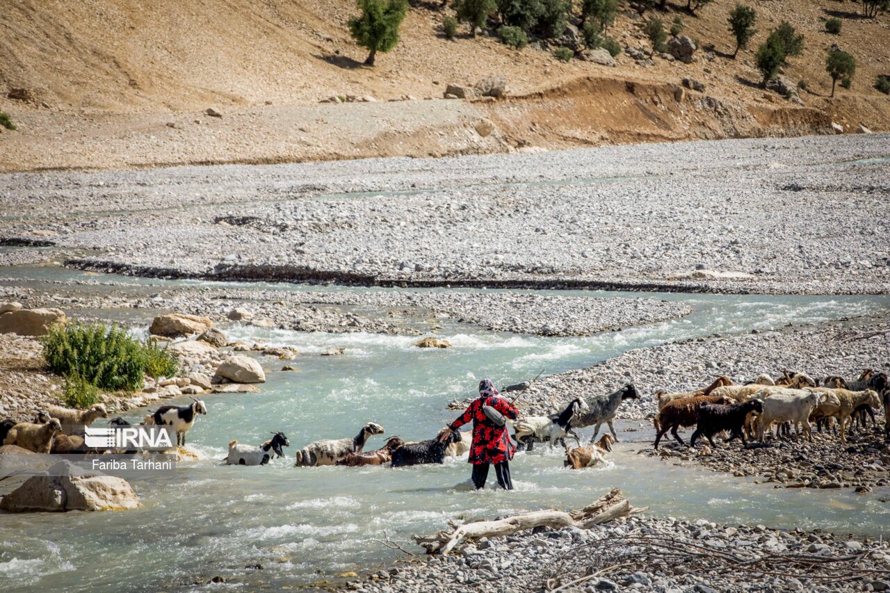 تصاویر: عشایر بختیاری در ییلاق