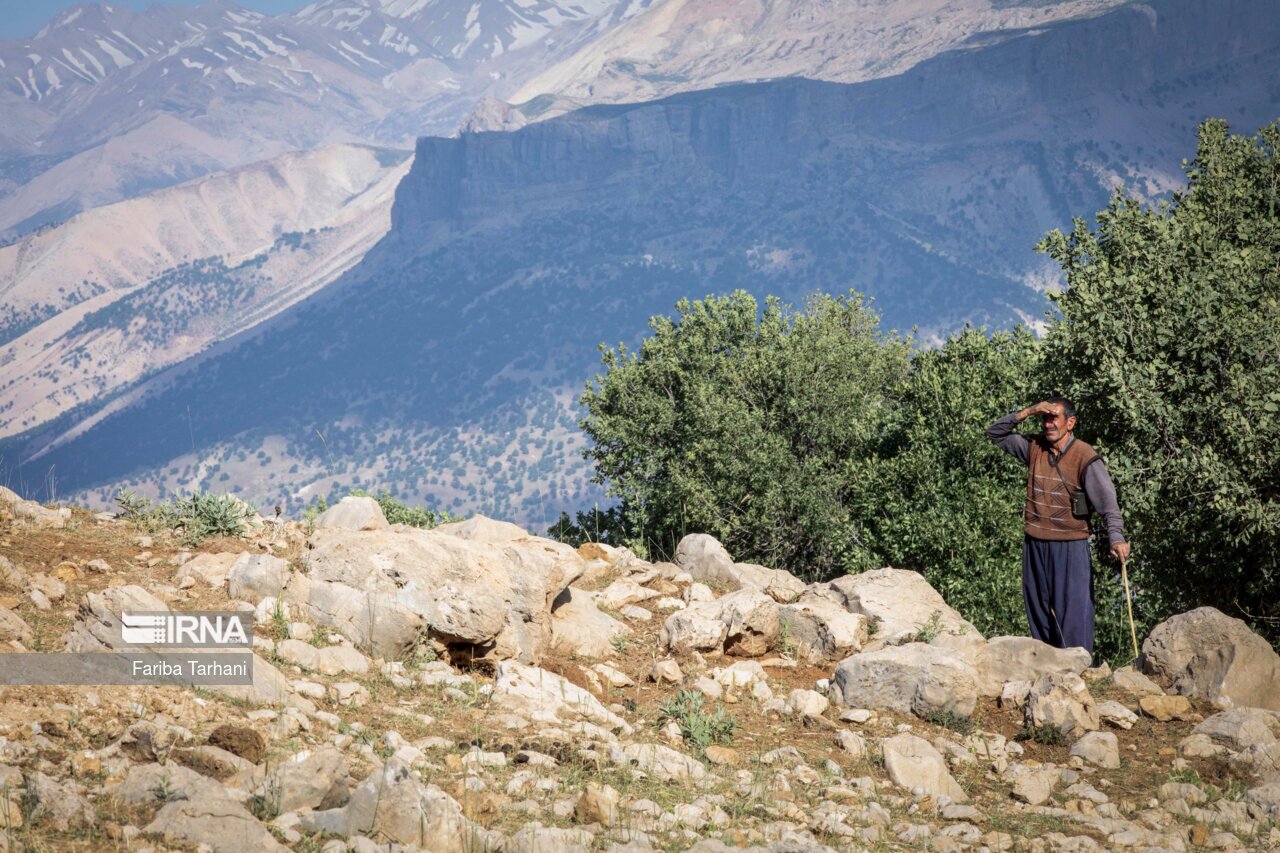 تصاویر: عشایر بختیاری در ییلاق