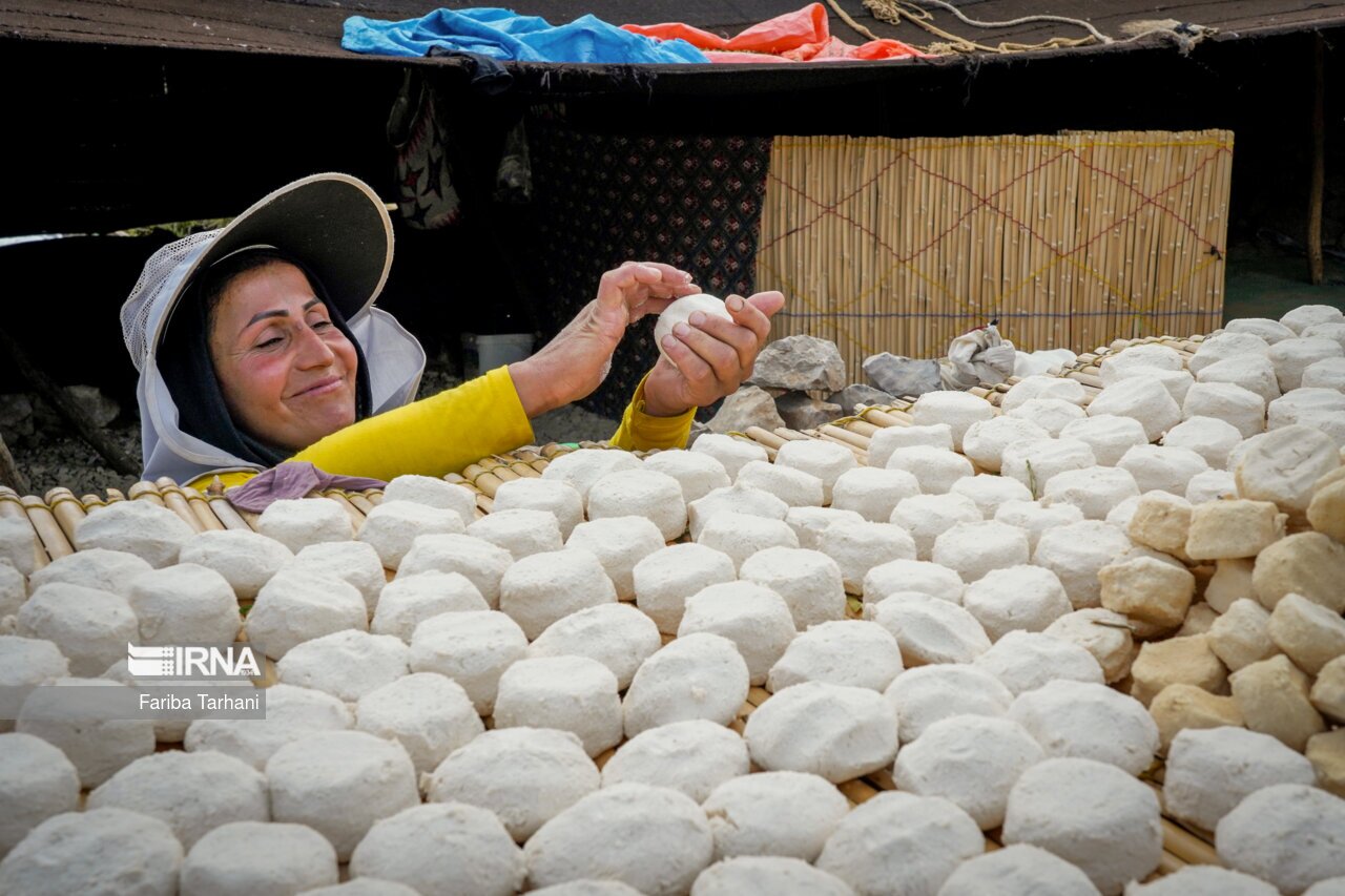 تصاویر: عشایر بختیاری در ییلاق