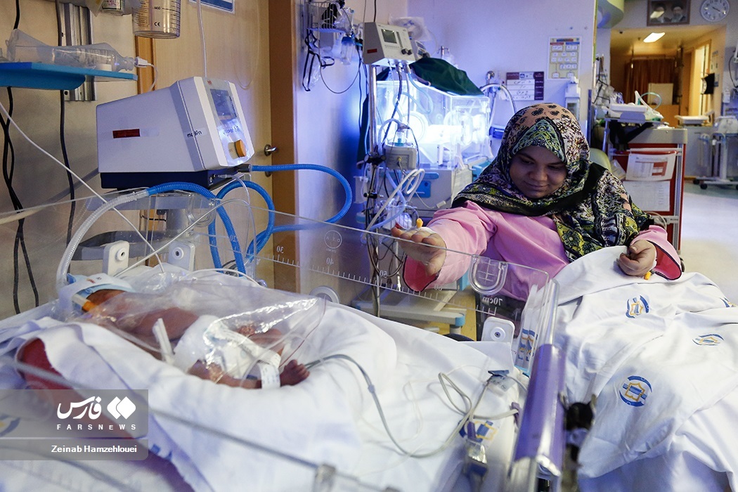 تصاویر: تولد پنج قلوها