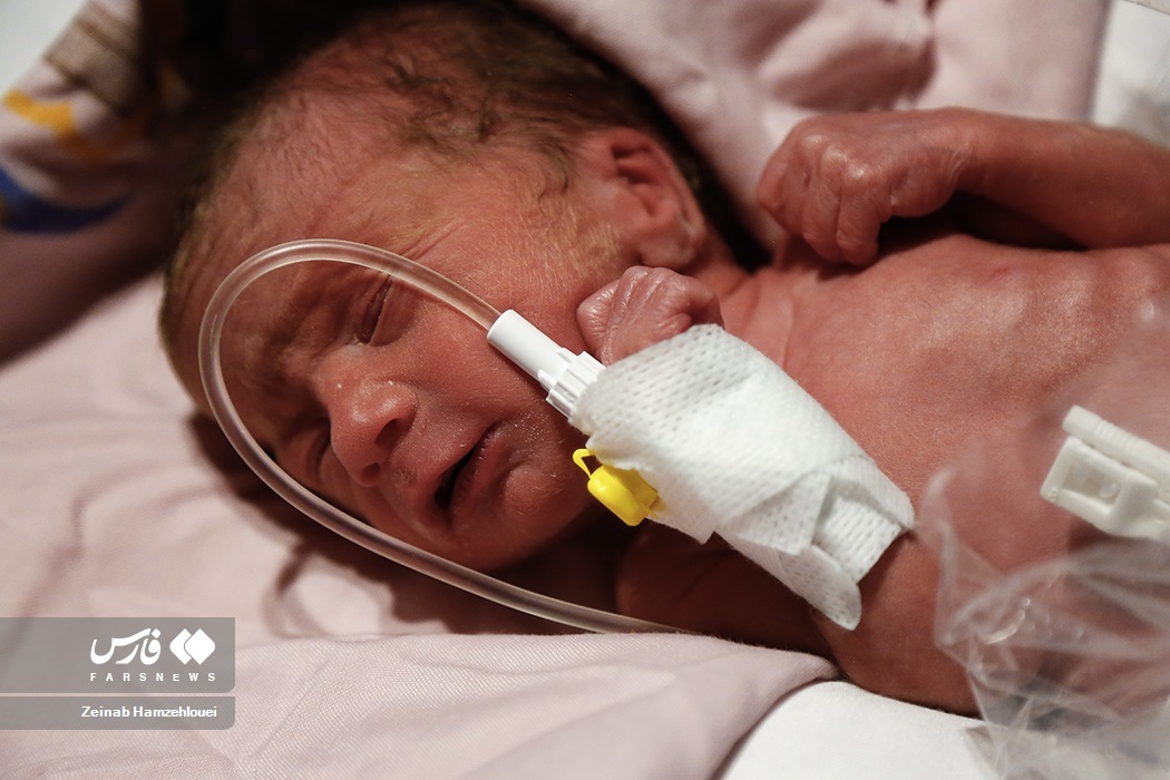 تصاویر: تولد پنج قلوها