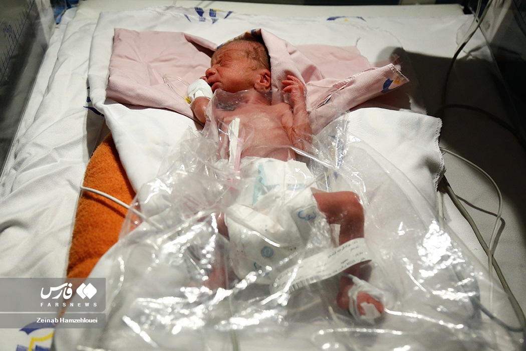 تصاویر: تولد پنج قلوها