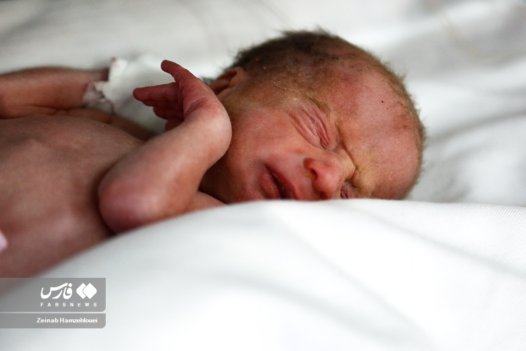 تصاویر: تولد پنج قلوها