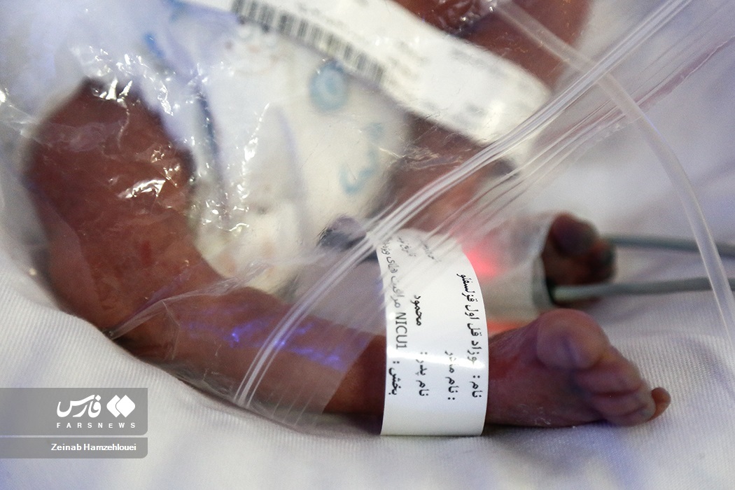 تصاویر: تولد پنج قلوها