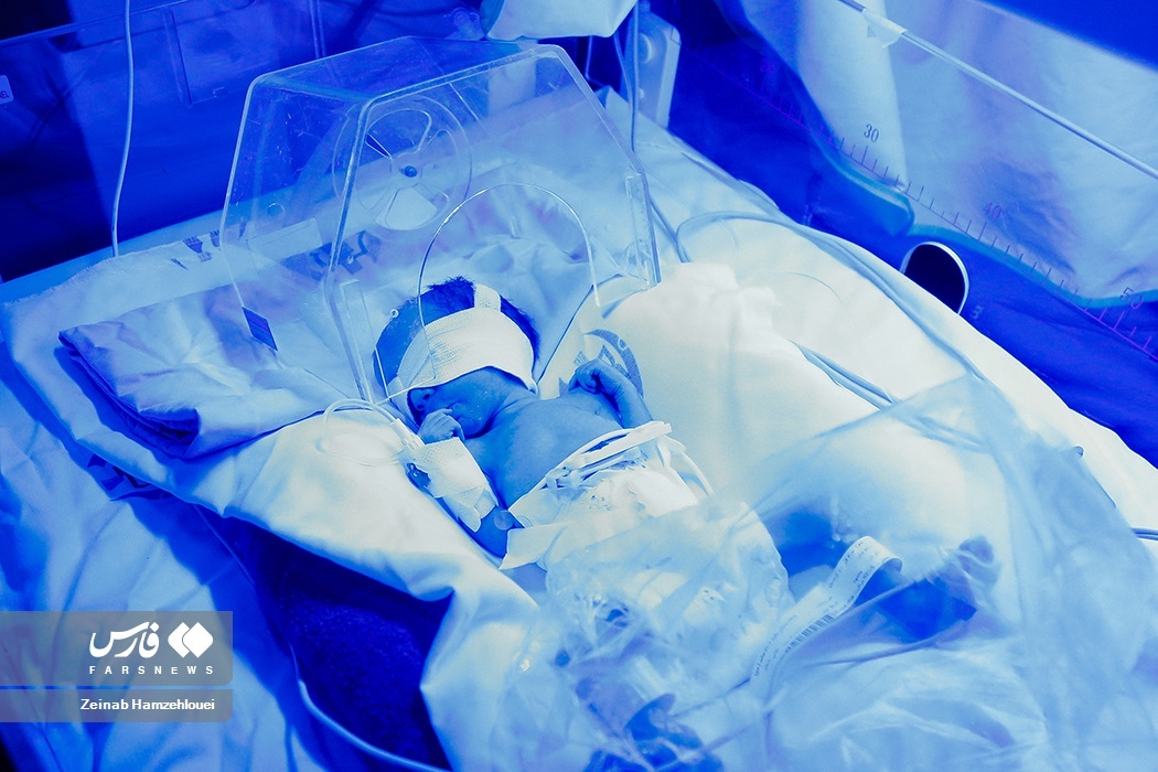 تصاویر: تولد پنج قلوها