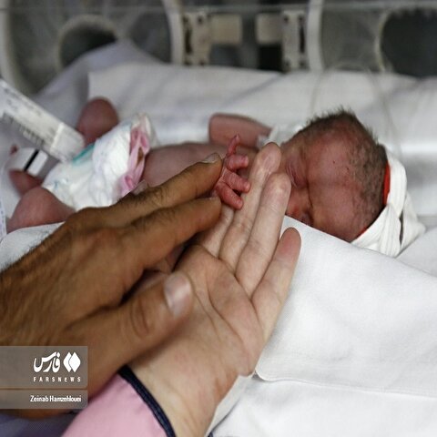 تصاویر: تولد پنج قلوها