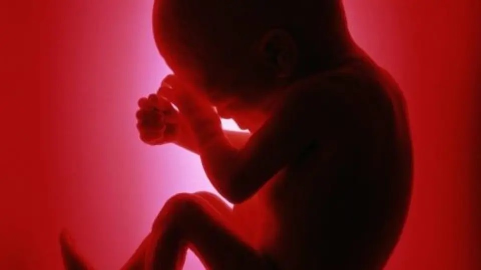 «تصمیم اخیر وزارت بهداشت یعنی ممنوعیت سقط قانونی؛ تمام!»