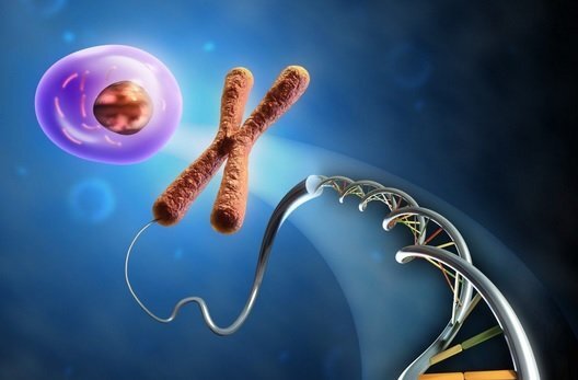 چگونه زیست را برای کنکور بخوانیم؟