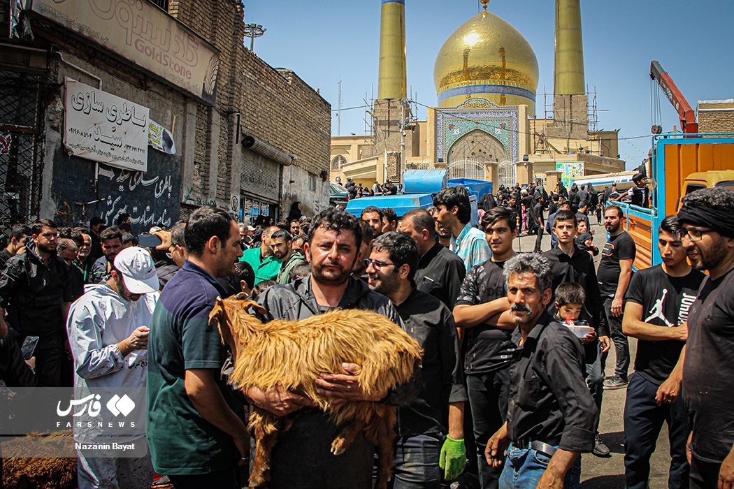 تصاویر: مراسم عزاداری «یوم العباس» زنجان