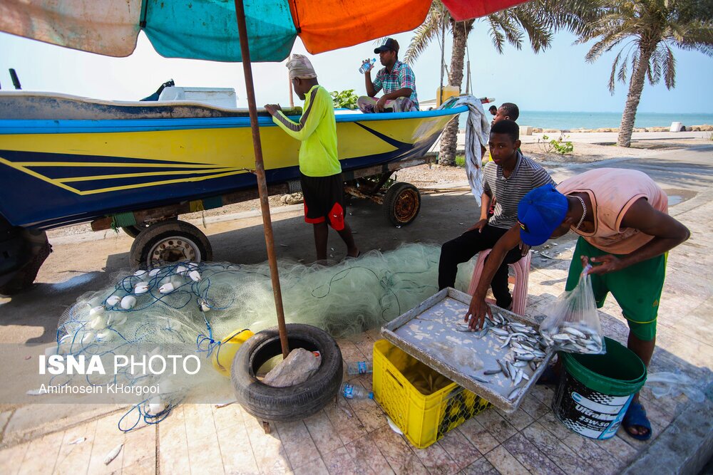 تصاویر: گاریز محبوب جنوب