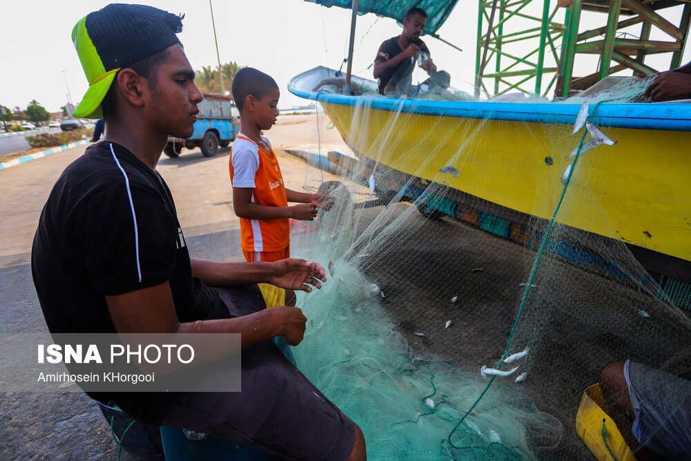 تصاویر: گاریز محبوب جنوب