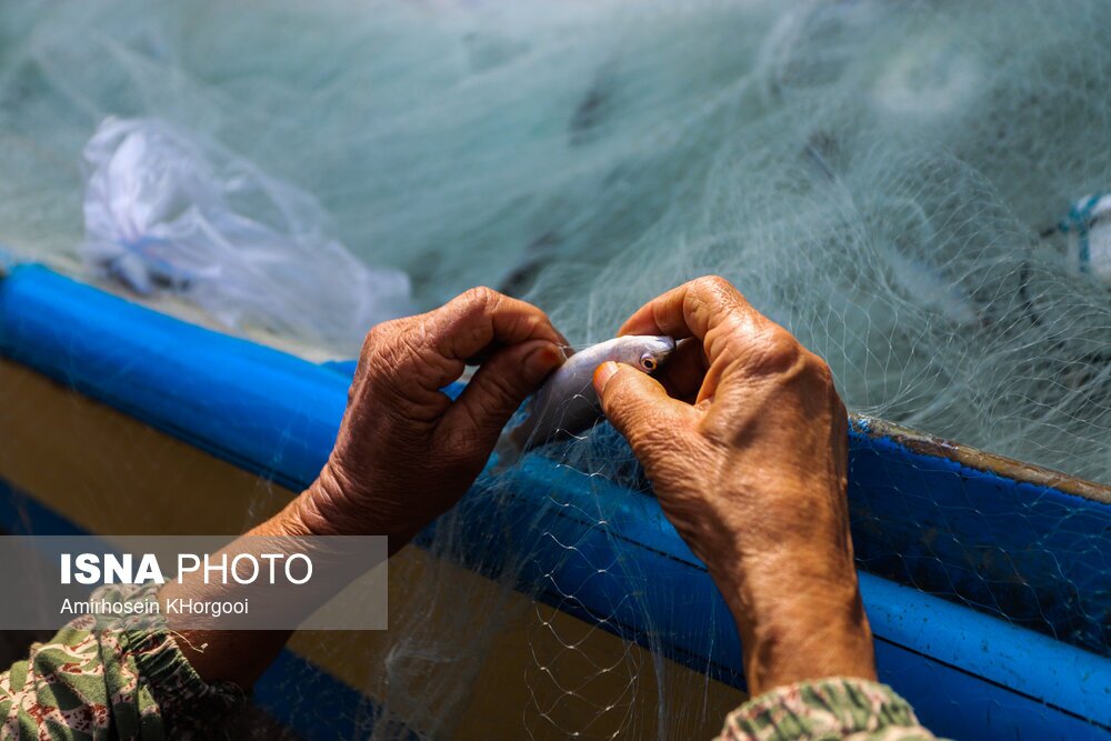 تصاویر: گاریز محبوب جنوب