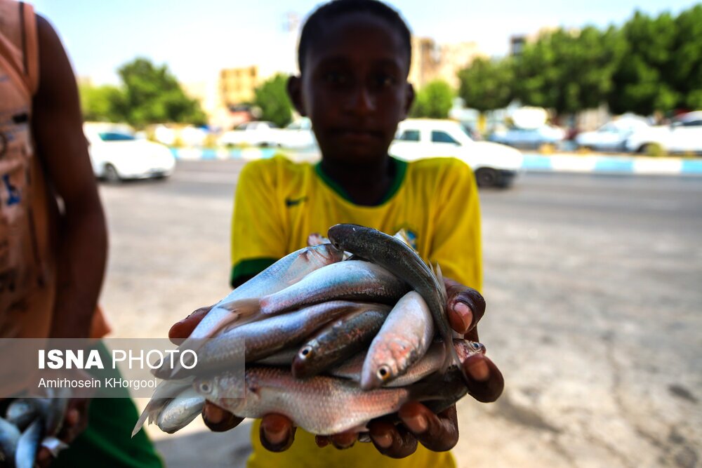 تصاویر: گاریز محبوب جنوب
