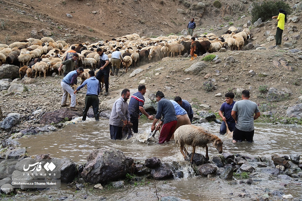 تصاویر: آیین سنتی