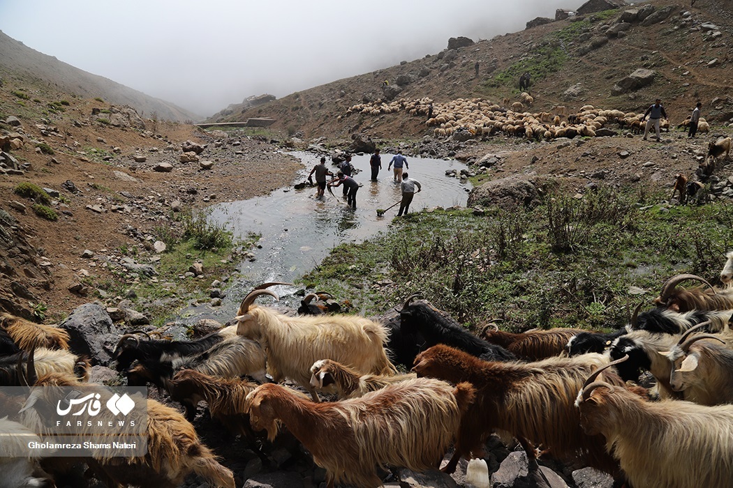 تصاویر: آیین سنتی