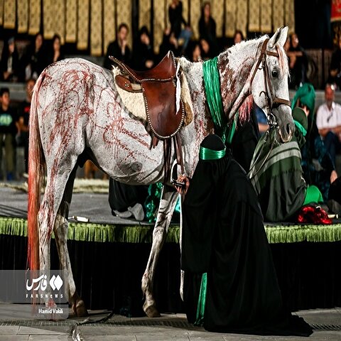 تصاویر: تعزیه شبیه نور