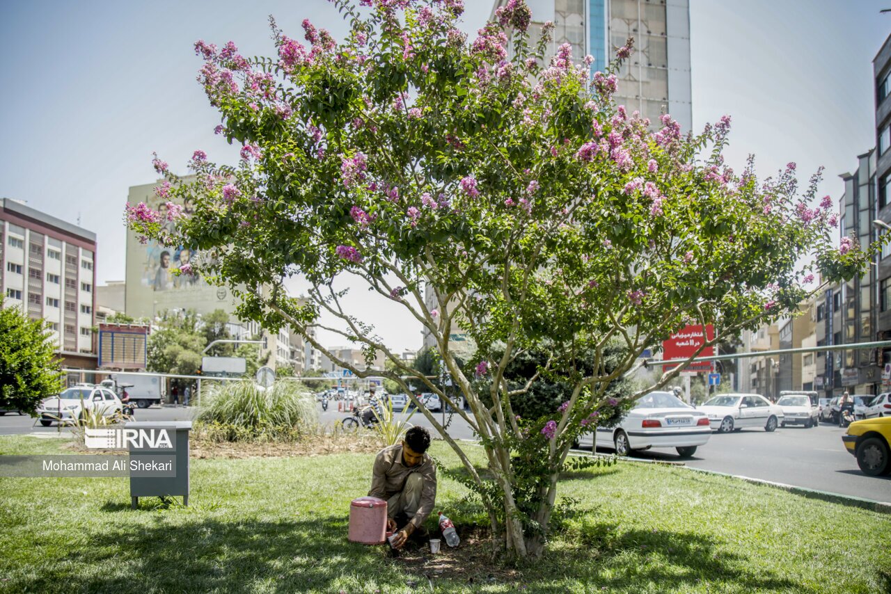 تصاویر: آخرین ماه گرمترین فصل سال