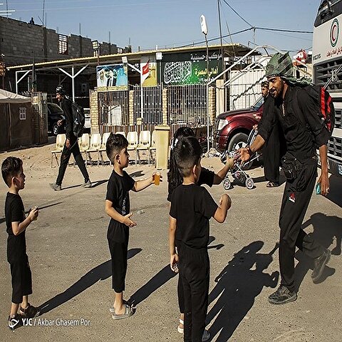 تصاویر: آیین بزرگ پیاده‌روی اربعین حسینی از نجف تا کربلا