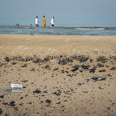 تصاویر: آلودگی نفتی در ساحل بندر گناوه