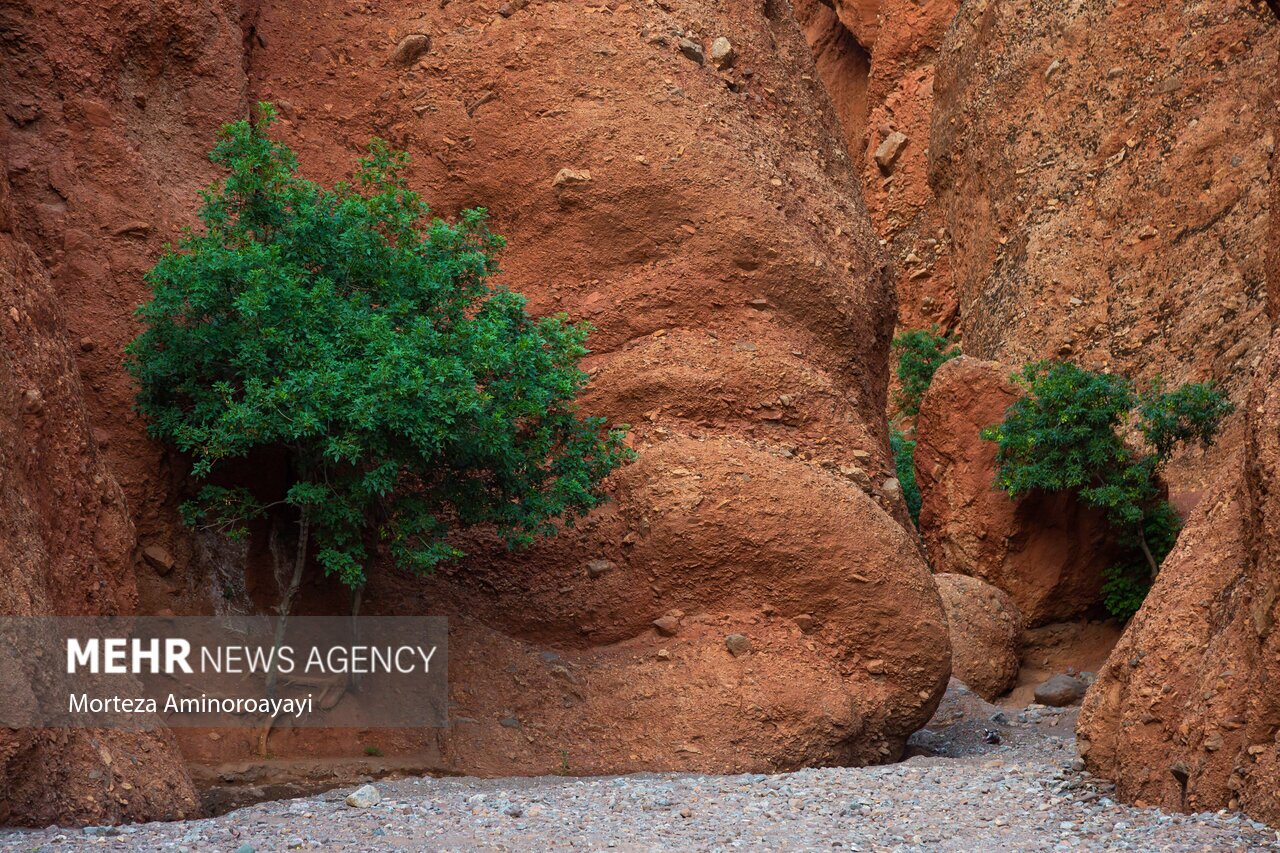 تصاویر: طبیعت هفت غار نیشابور