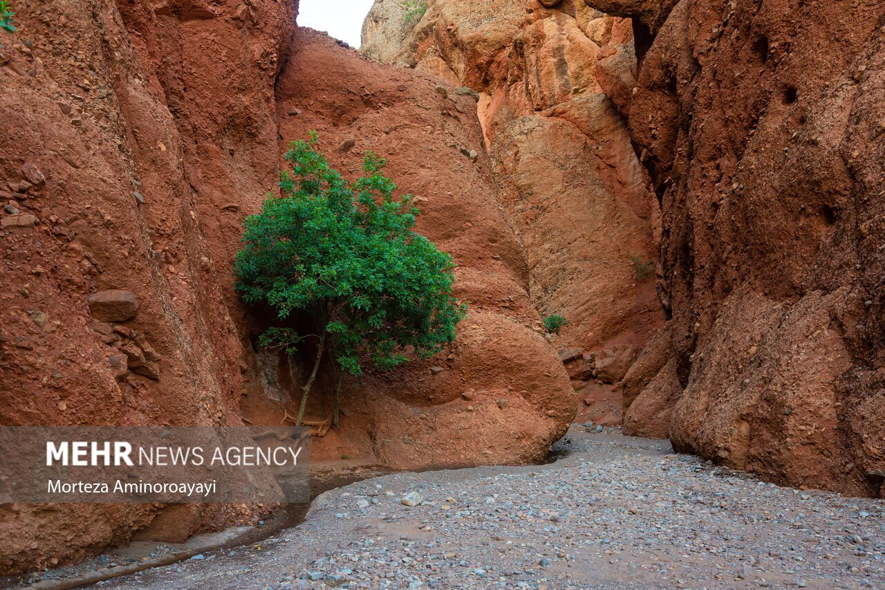 تصاویر: طبیعت هفت غار نیشابور