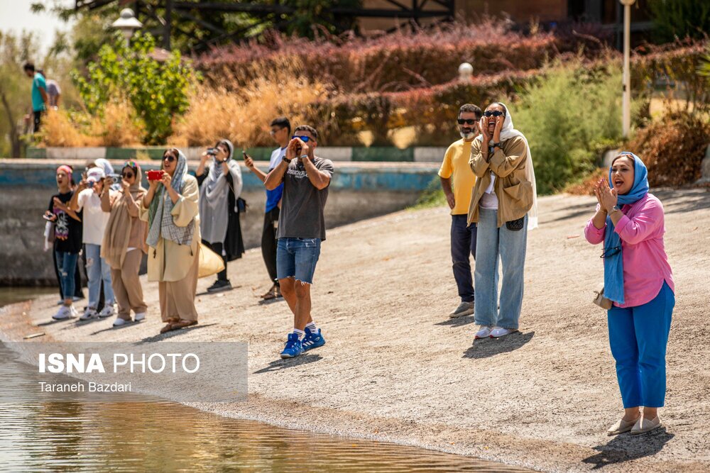 تصاویر: مسابقات المپیاد استعداد‌های برتر قایقرانی بانوان کشور