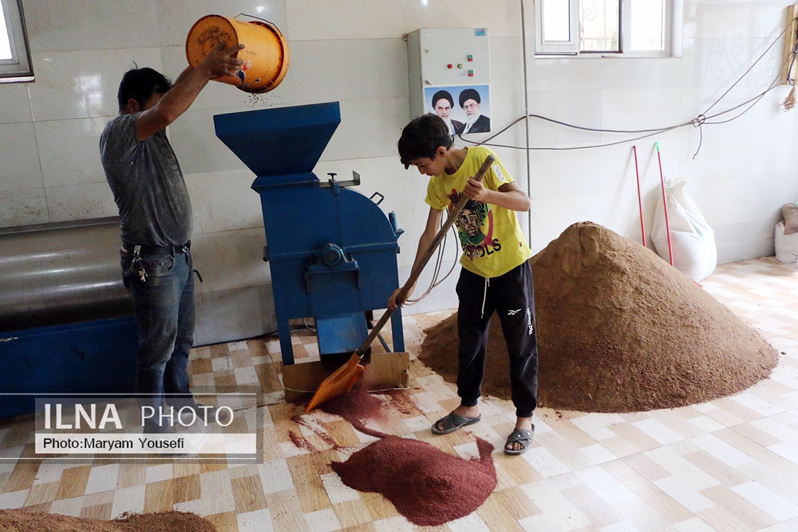 تصاویر: «هُوراند» قطب تولید سماق