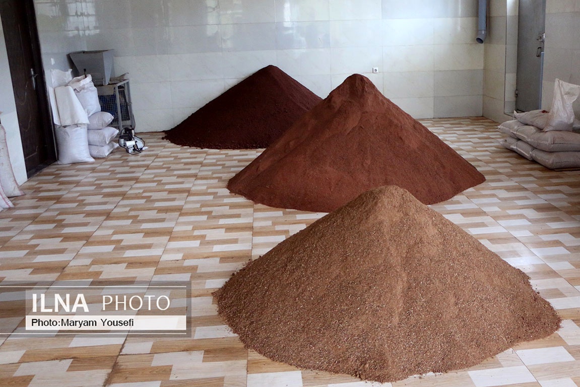 تصاویر: «هُوراند» قطب تولید سماق