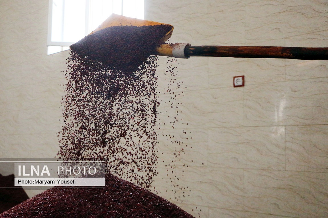 تصاویر: «هُوراند» قطب تولید سماق