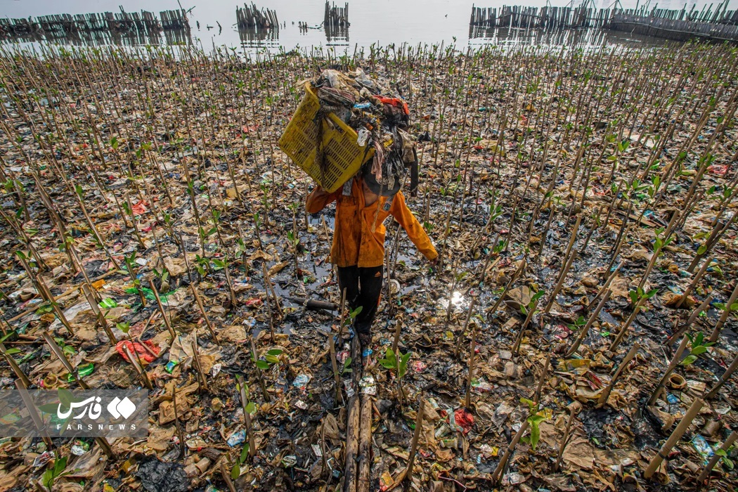 تصاویر: تصاویر برگزیده مسابقه عکاسی مانگرو ۲۰۲۳