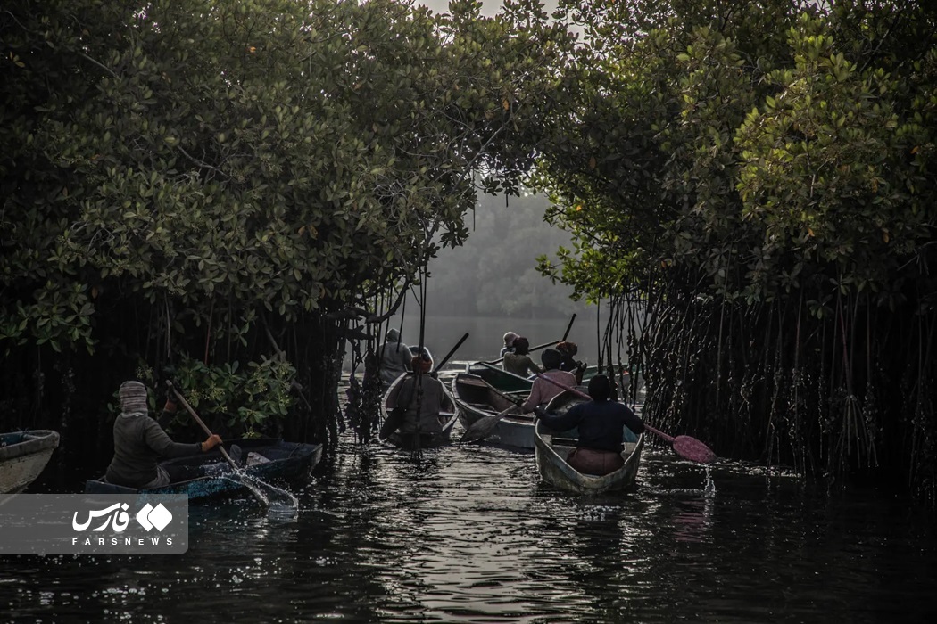 تصاویر: تصاویر برگزیده مسابقه عکاسی مانگرو ۲۰۲۳