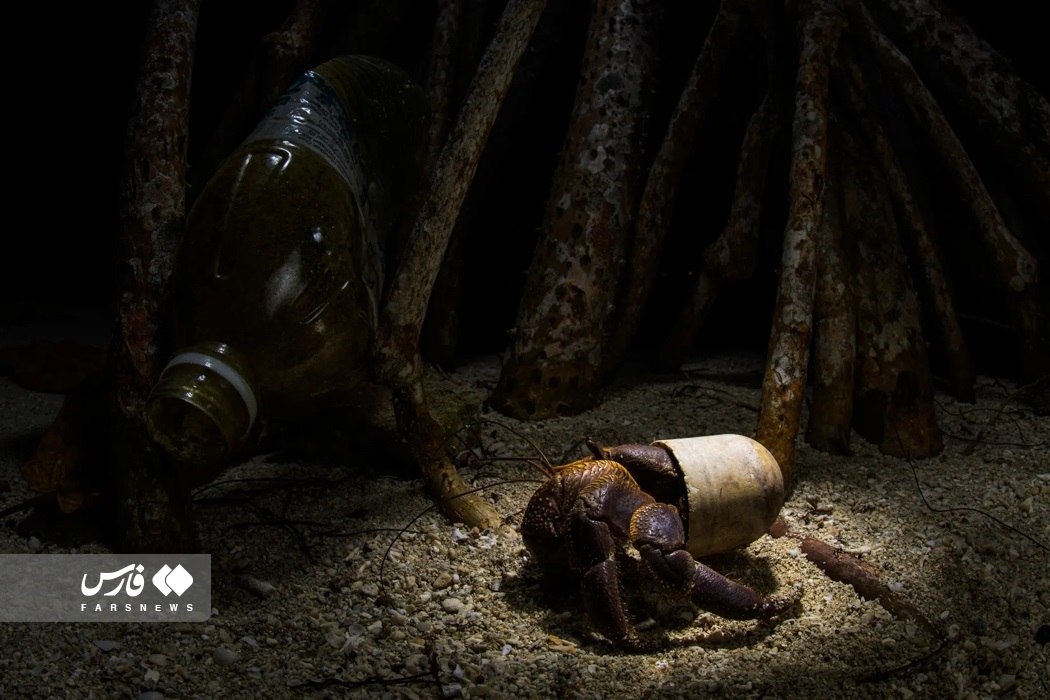 تصاویر: تصاویر برگزیده مسابقه عکاسی مانگرو ۲۰۲۳