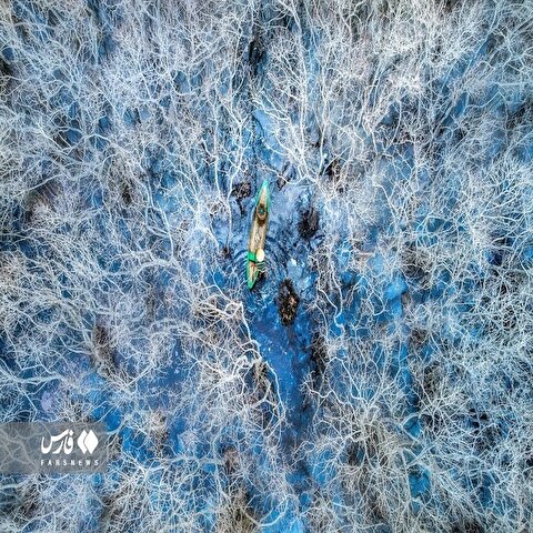 تصاویر برگزیده مسابقه عکاسی مانگرو ۲۰۲۳