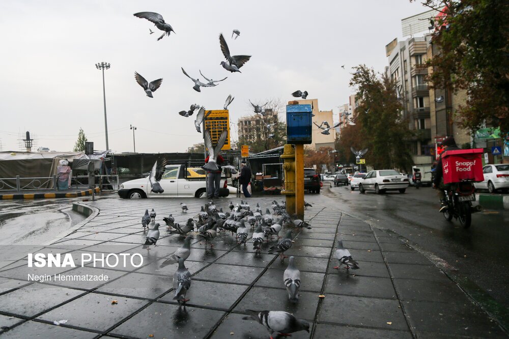 تصاویر: باران پاییزی تهران