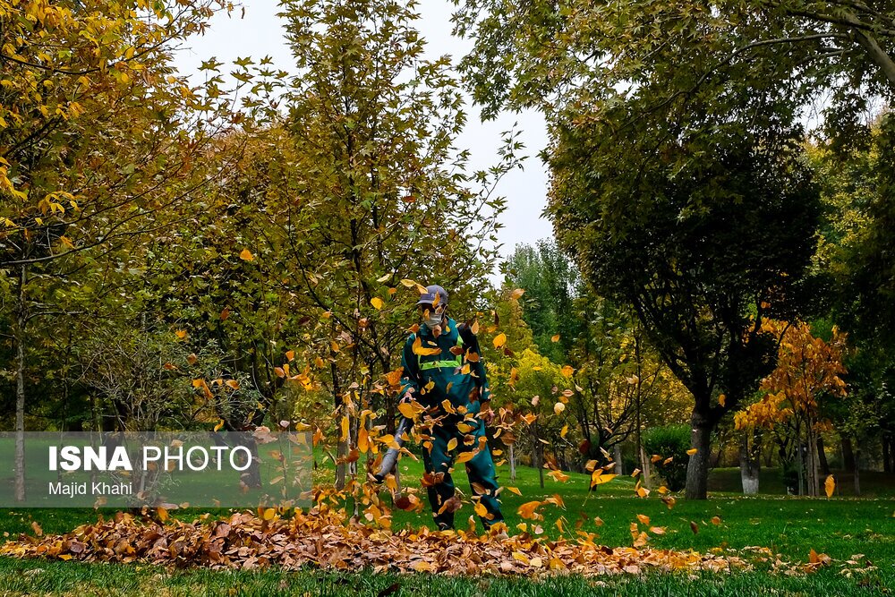 تصاویر: باران پاییزی تهران