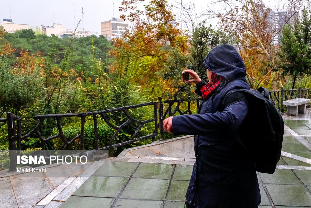 تصاویر: باران پاییزی تهران