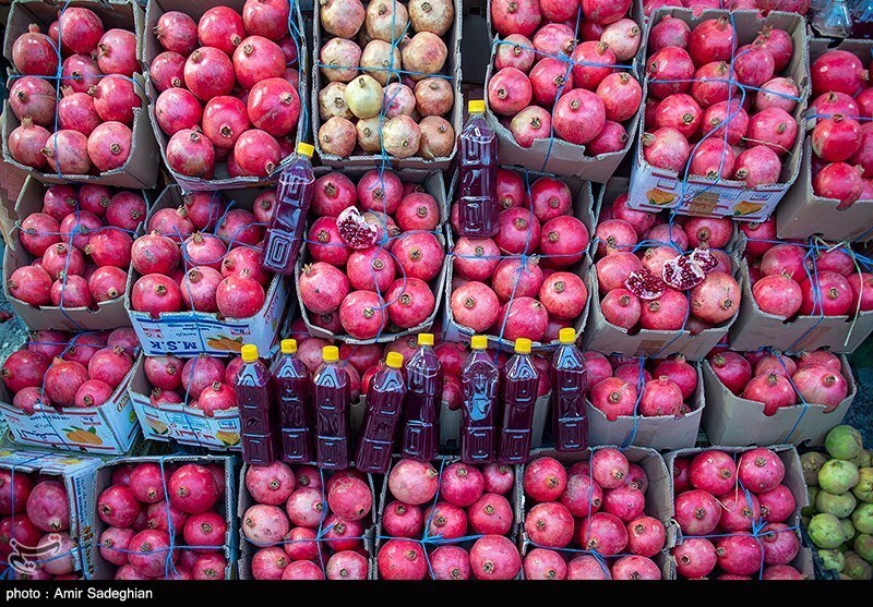 تصاویر: جشنواره انار یاقوتی شهر فاروق فارس