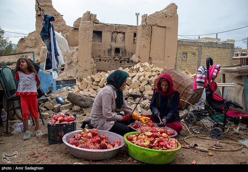 تصاویر: جشنواره انار یاقوتی شهر فاروق فارس