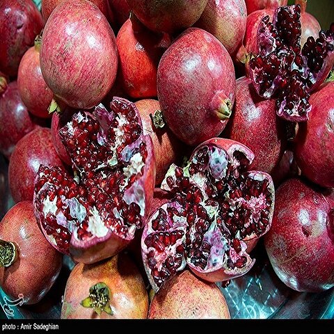 تصاویر: جشنواره انار یاقوتی شهر فاروق فارس