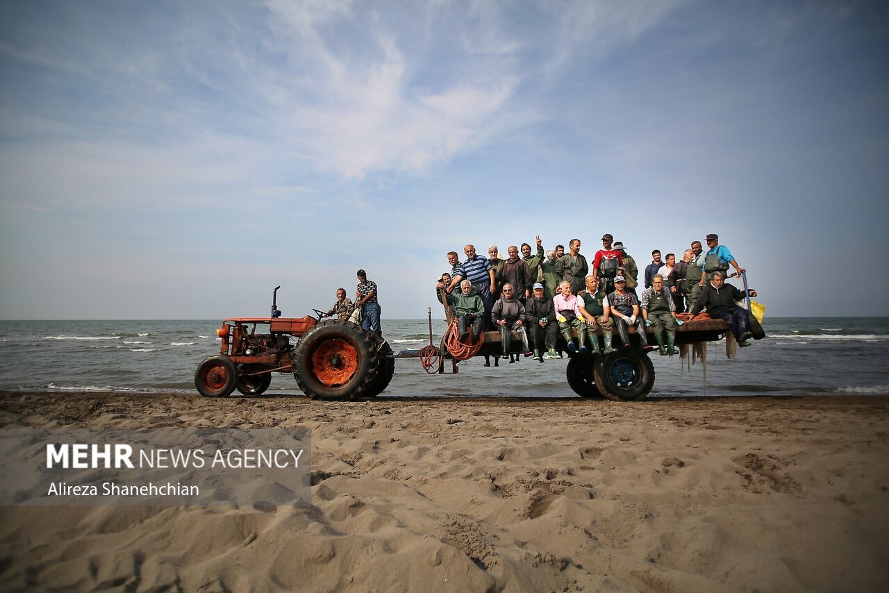 تصاویر: صید پره یا تور گستر