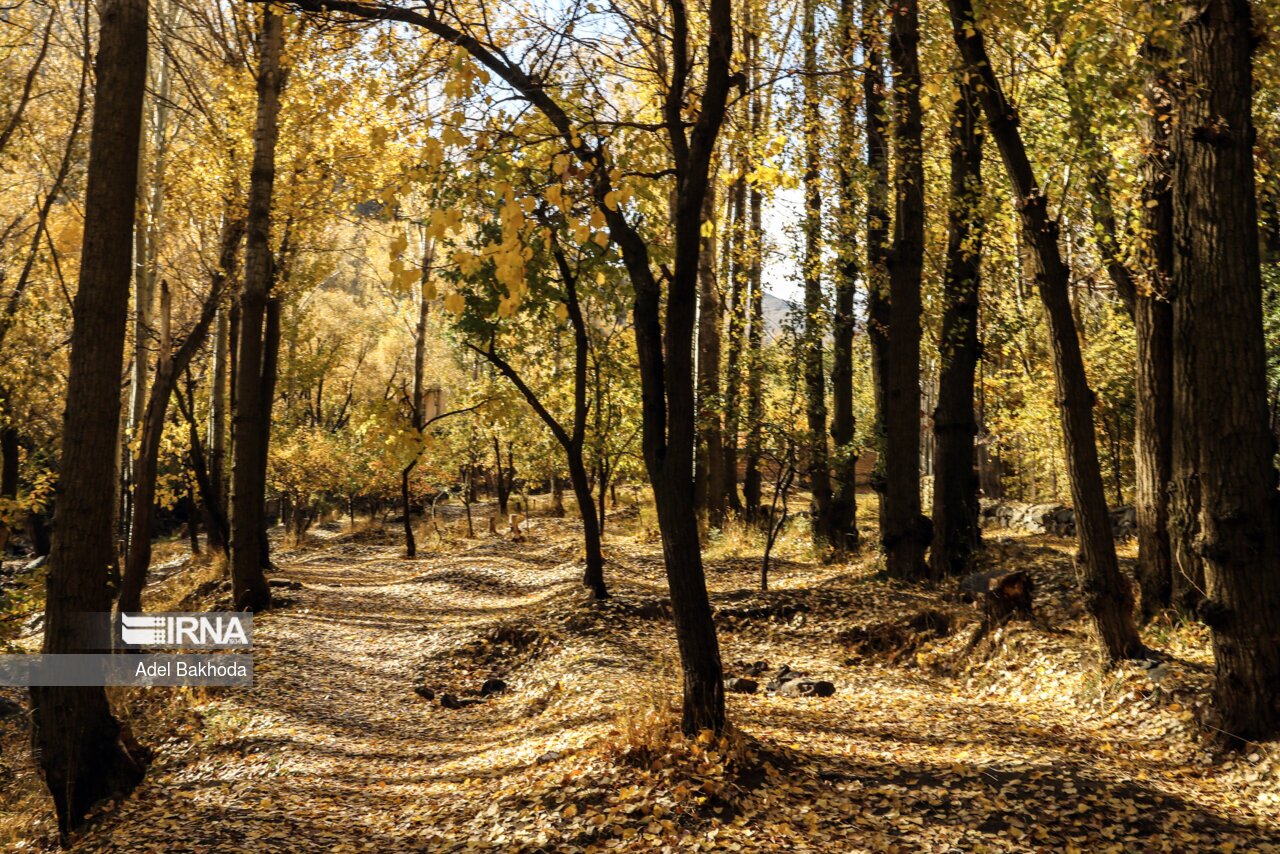 تصاویر: اعتدال پاییزی