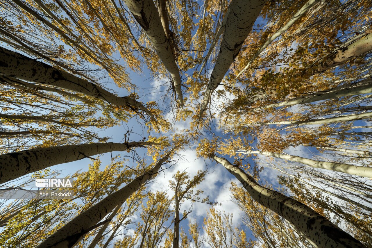 تصاویر: اعتدال پاییزی